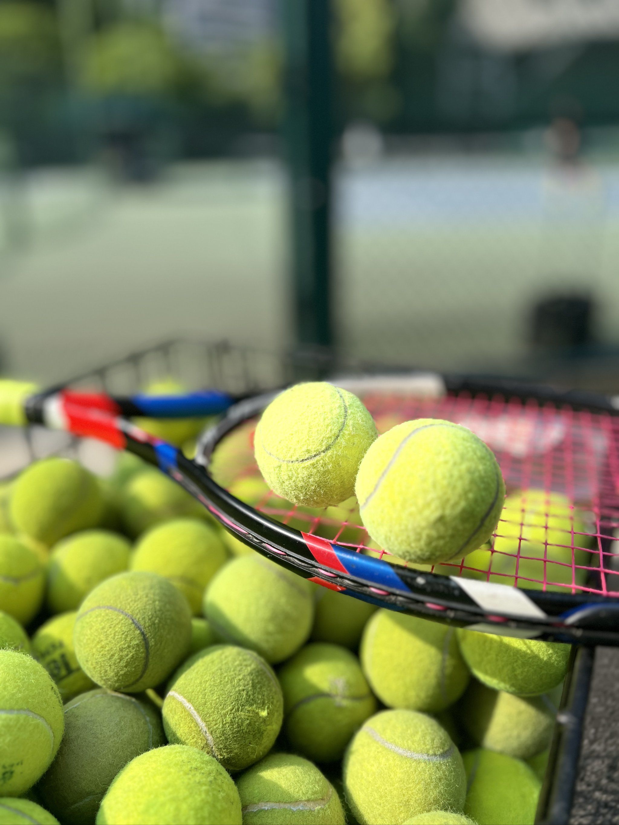 吸引了大量 吸引了大量